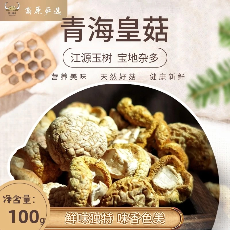 皇菇青海野生 玉树高原黄蘑菇干货100g 煲汤鲜香稀有山珍
