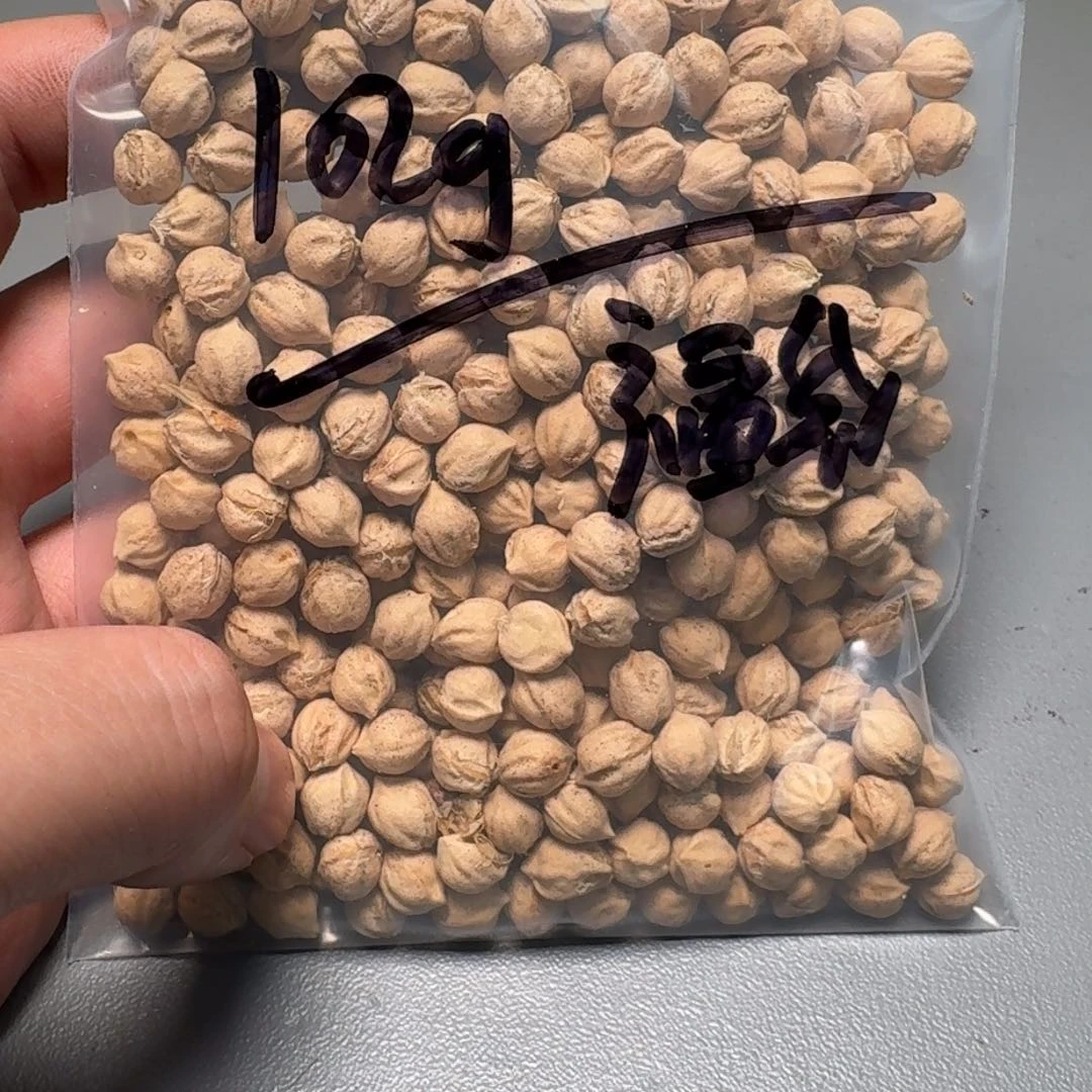 柏香籽/百香籽吊坠小*块