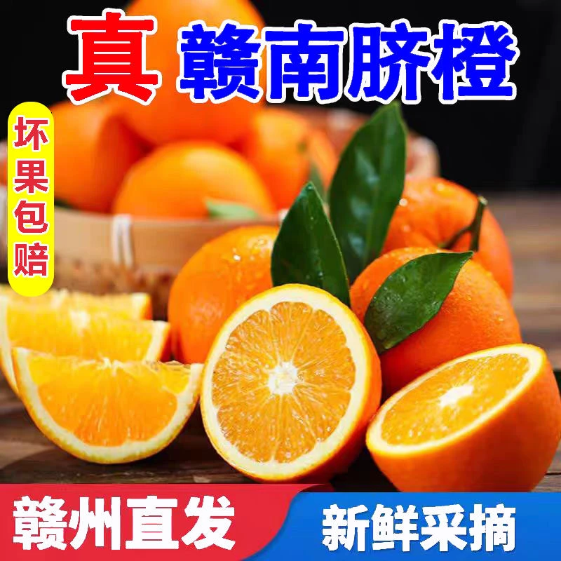 【新果上市】正宗赣南脐橙原生态种植微瑕产地直发带箱10斤应季水果