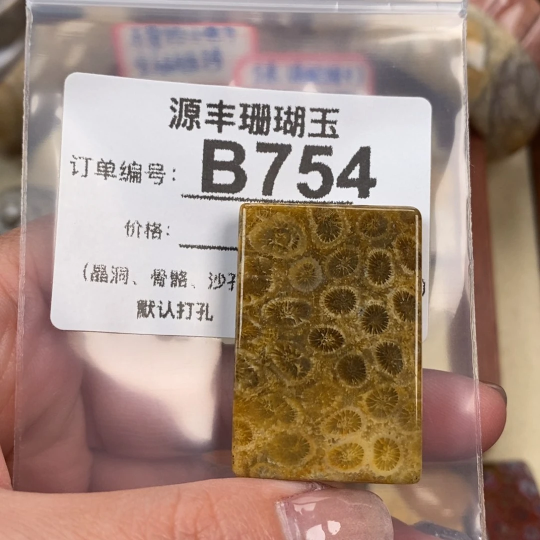 硅化玉颈饰未镶嵌?****条