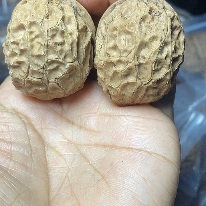 把件文玩核桃云南铁核桃基地89
