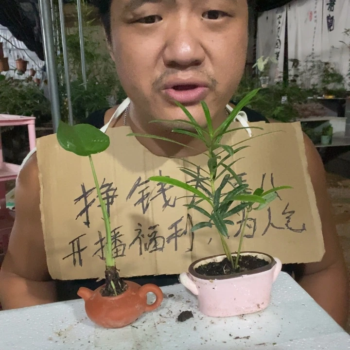 完全开放退款拉黑一物一拍28