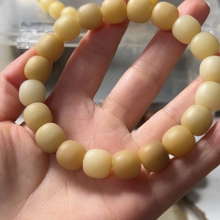 手串菩提根/象牙果