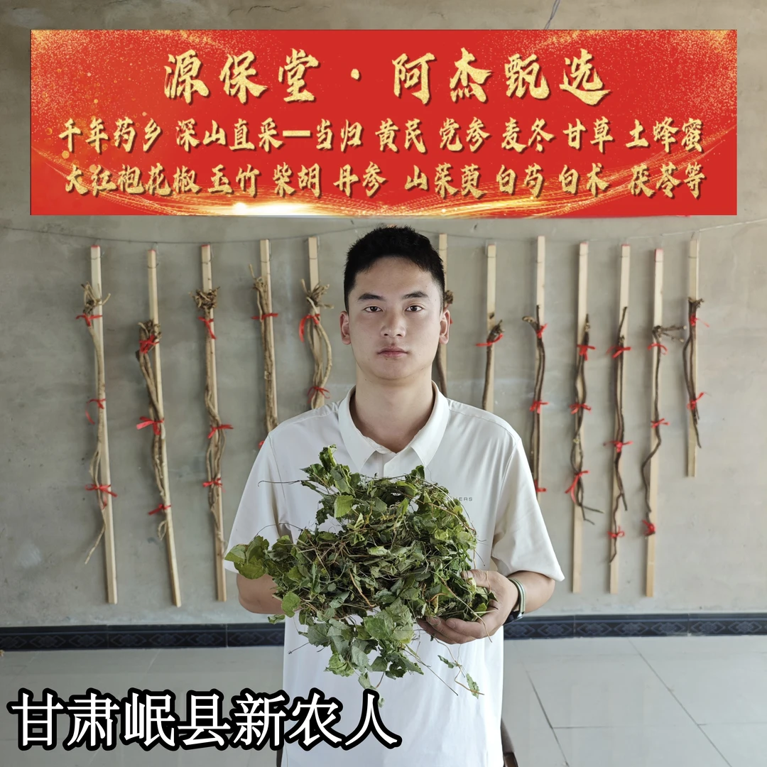 甘肃天然小圆叶淫羊藿三枝九叶草新鲜晒干