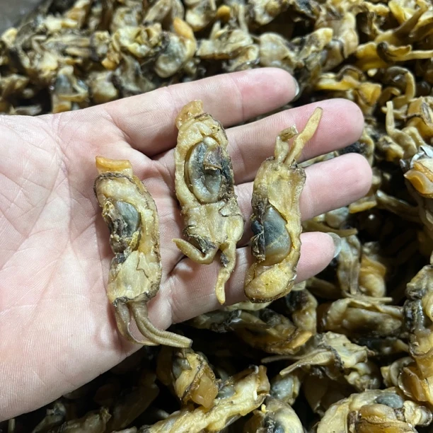 大蛏干，有一点点尾沙，诚信经营，不骗人，炖汤不吃蛏肉拍