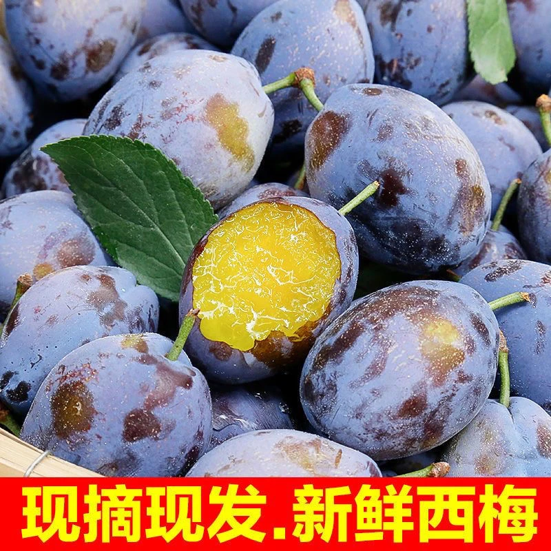 【辛平优选】新鲜现摘大西梅鲜果正宗西梅西梅李酸甜可口