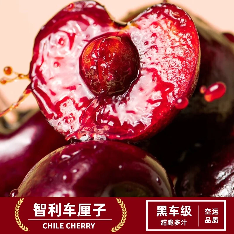 Z当季限定智利海运车厘子J-5J1-5斤内附果径卡【顺丰包邮】