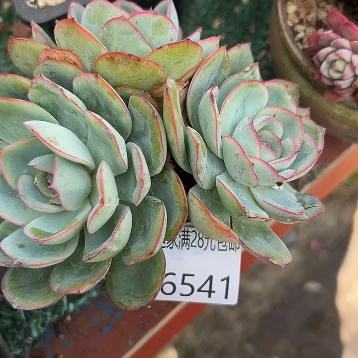 幸运的是我还没遇到过这么