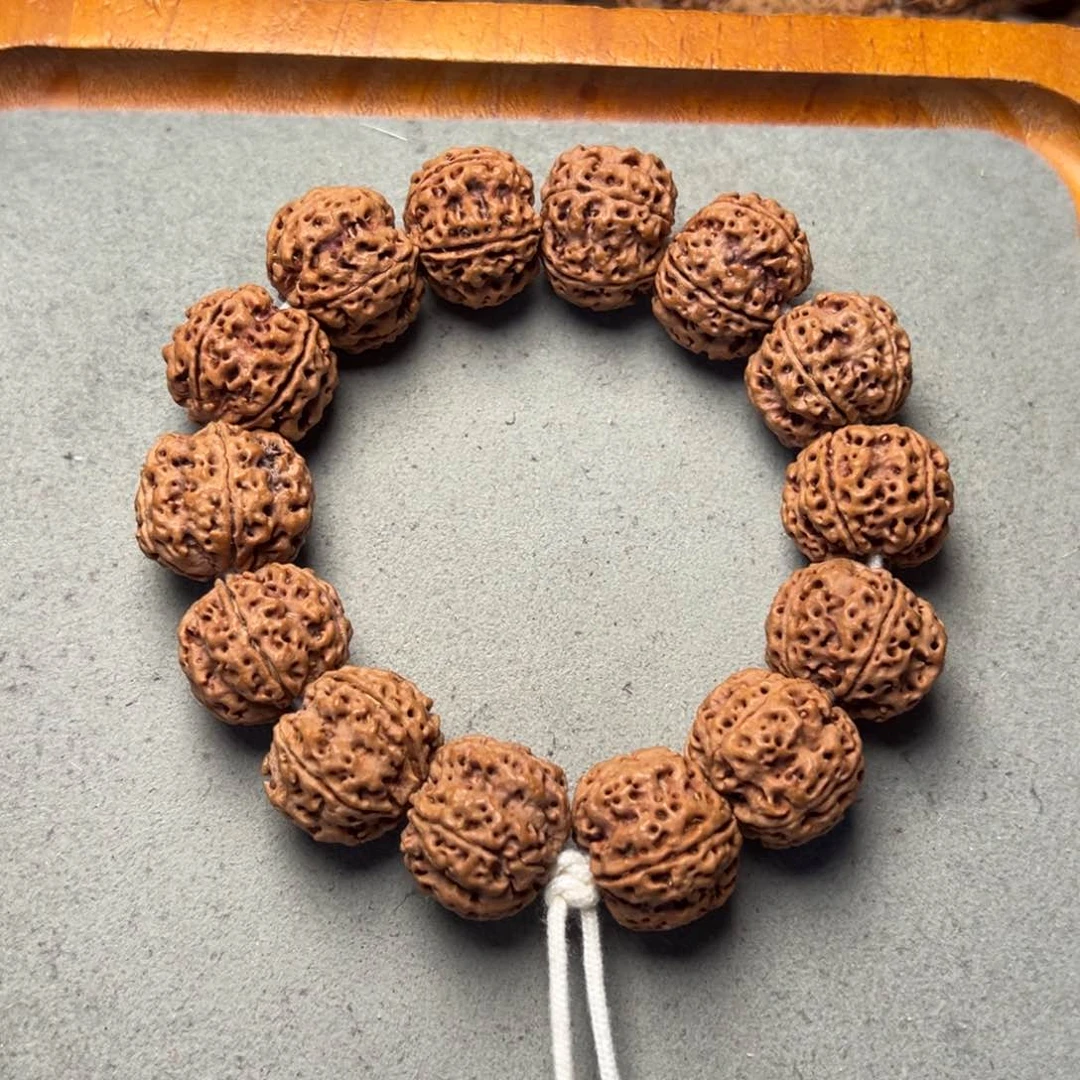 菩提末**名6号金刚菩提安娜梅花22+