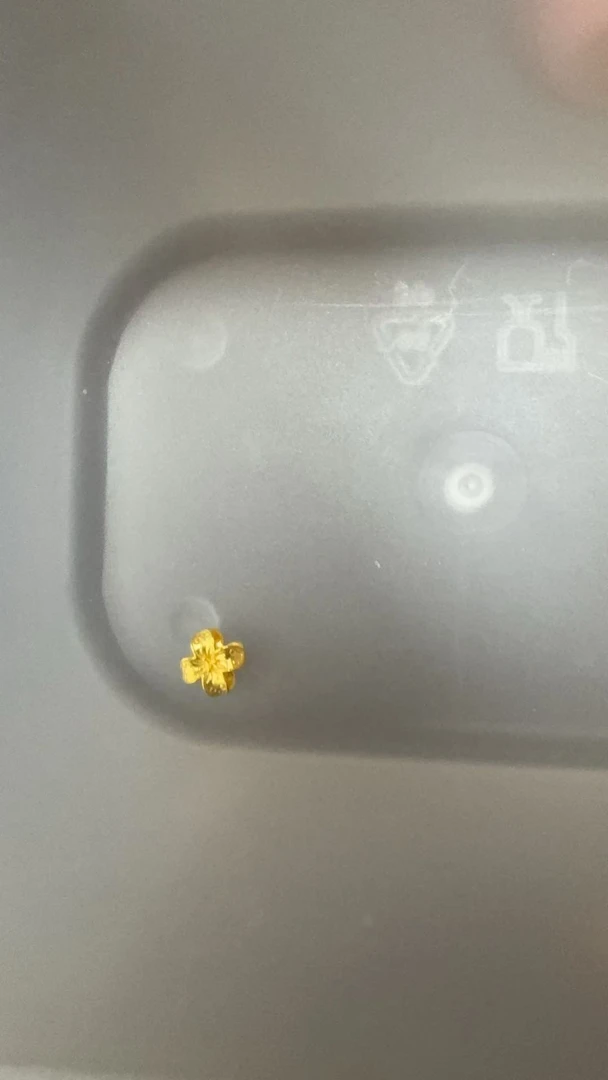 足金饰品0.438克（DIY定制款）
