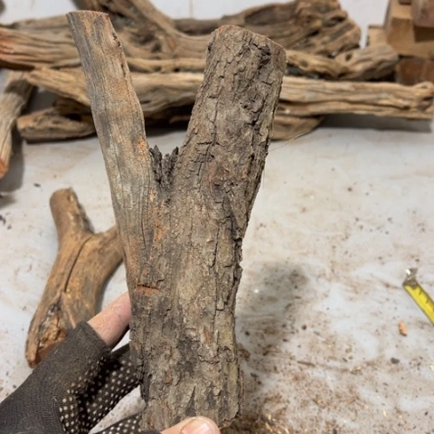 大果紫檀（缅甸花梨）木**景