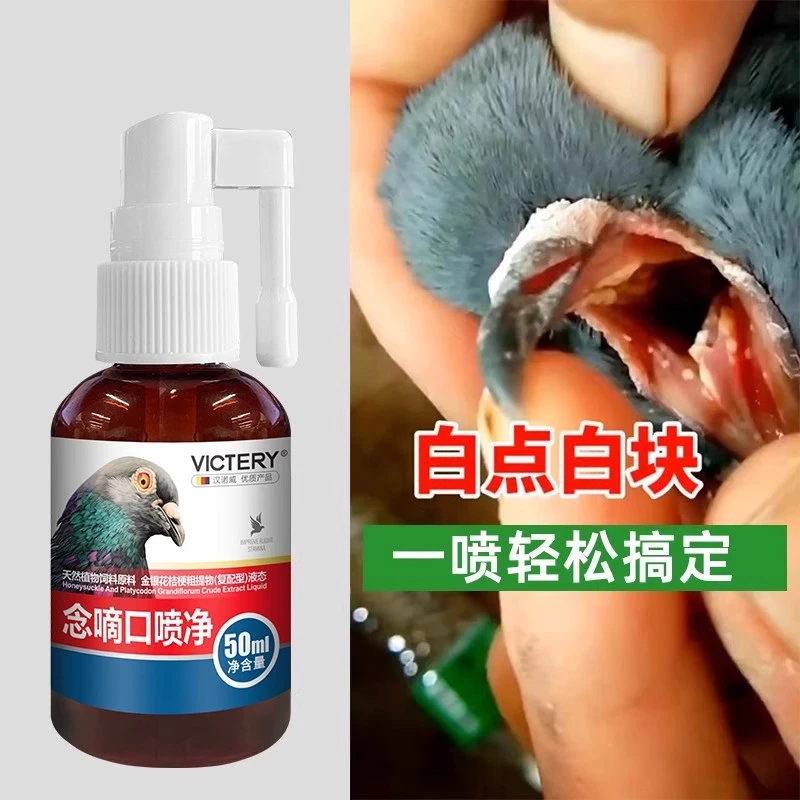 口腔净鸽子信鸽用品毛滴虫念珠菌白点白块适合日常护理非鸽子药