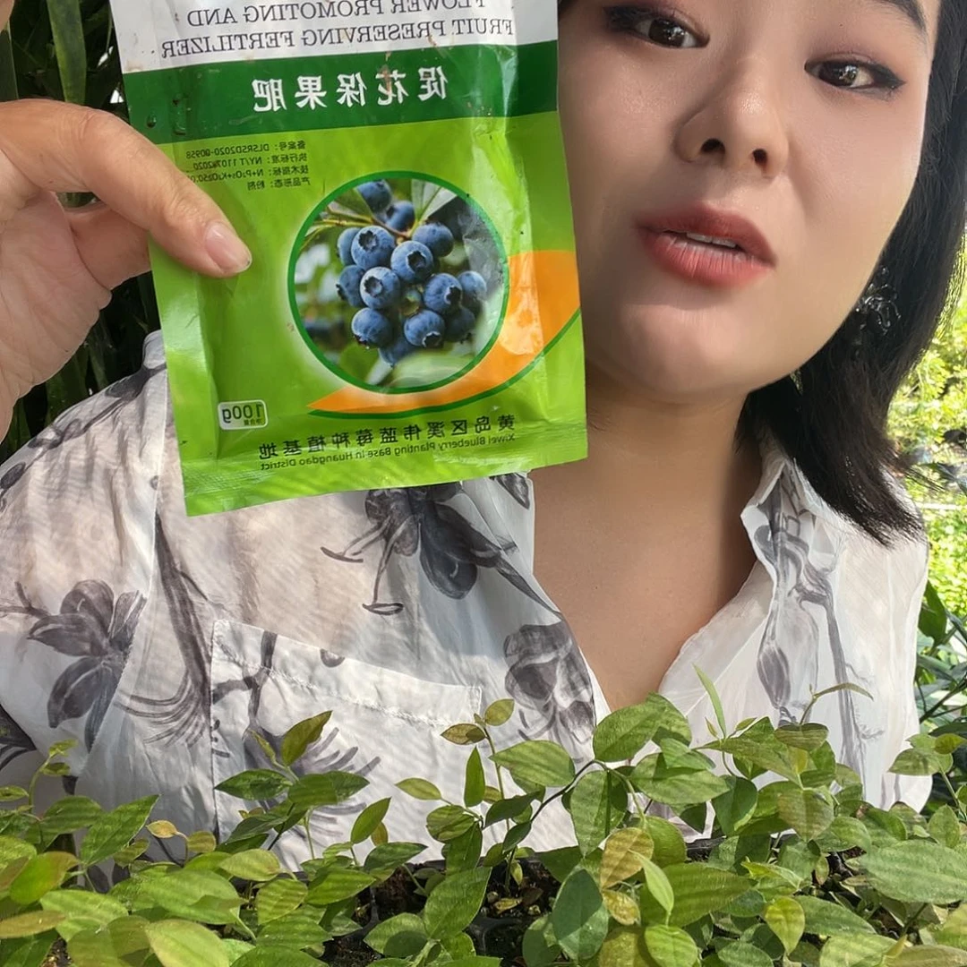 一包促花送俩苔藓苗