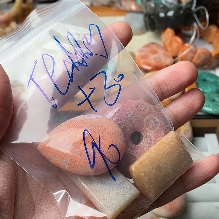 T***y硅化玉未镶嵌颈饰