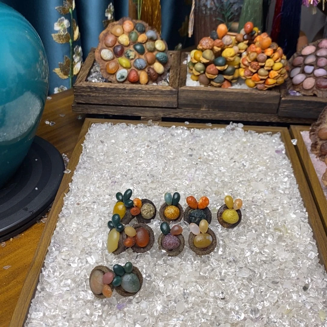 尤加利尤加利尤加利