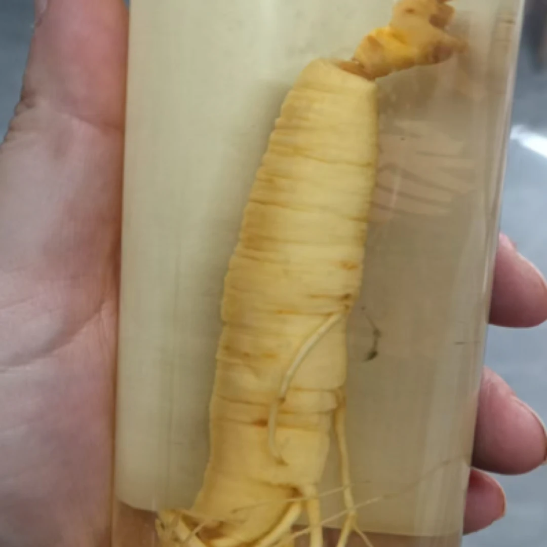 【鹿边】精选品质 干货