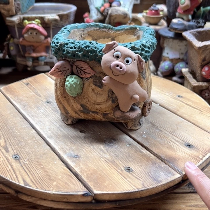 嘻哈多肉花盆百搭