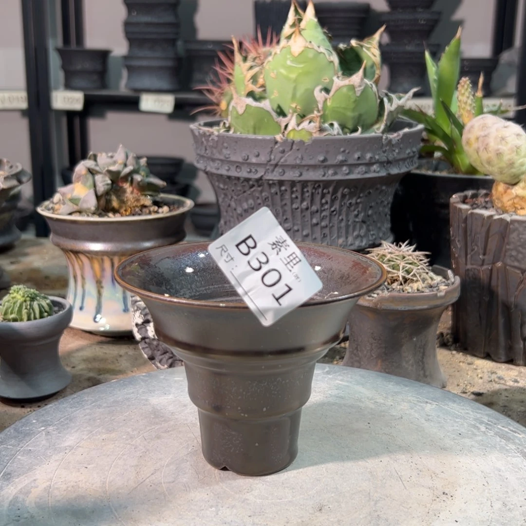 景德镇素里手工内面12.5高9.5