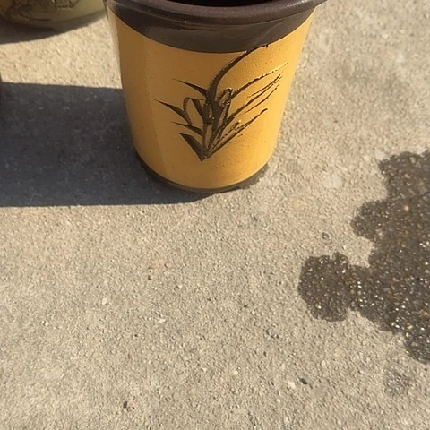 紫砂宜兴紫砂443