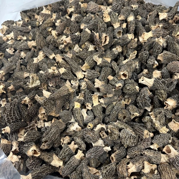 小号羊肚菌 无熏硫 肉厚无沙 特价新货 菌味醇厚