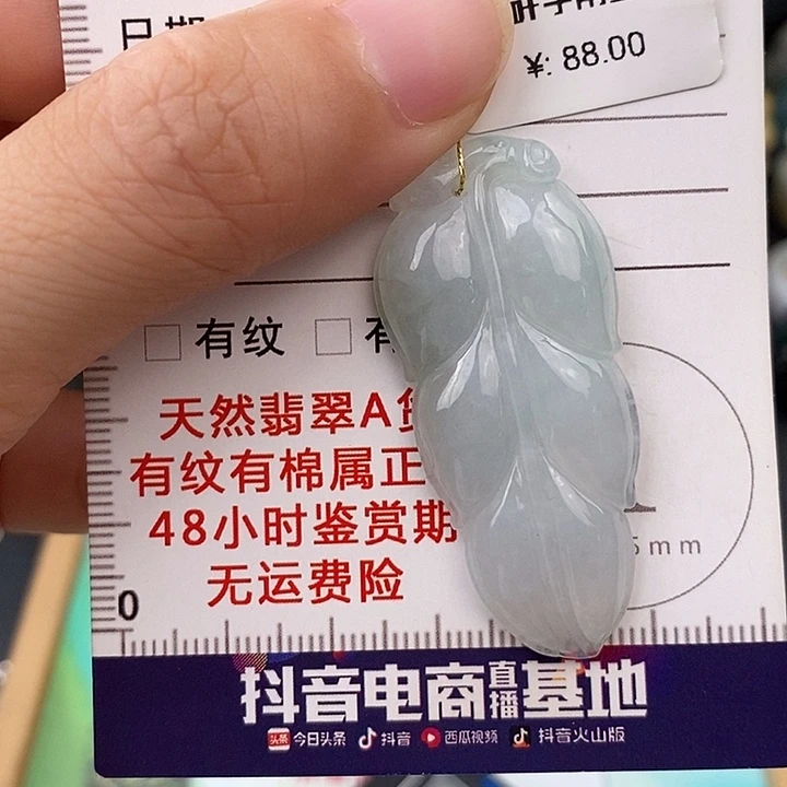 翡翠未镶嵌颈饰叶子