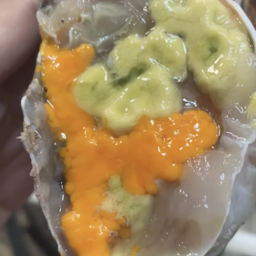 青蟹惠女赶海直播间现称链接