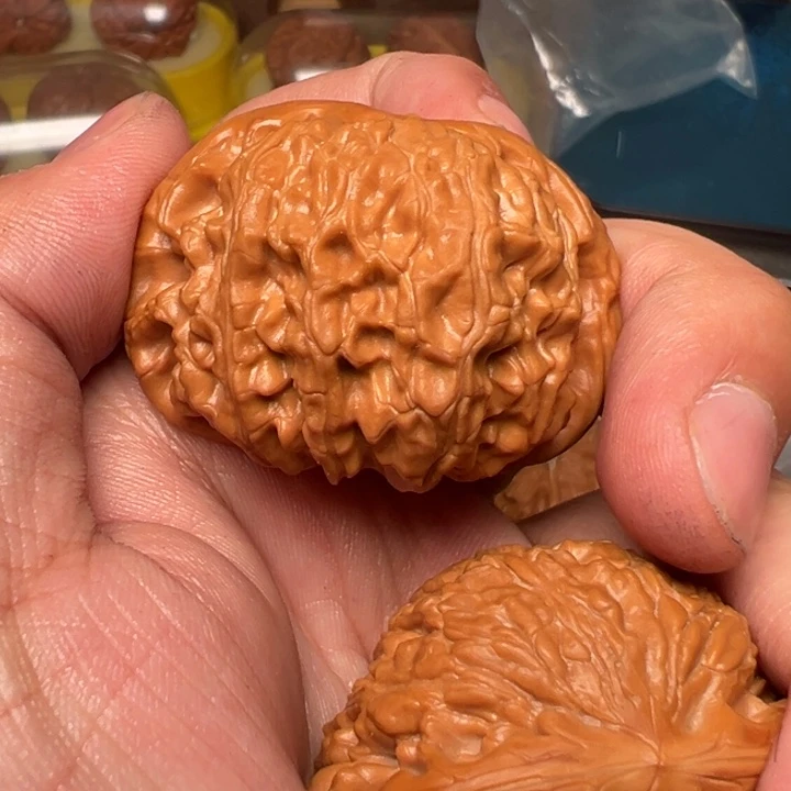 核桃达**！白狮子，46，已打底