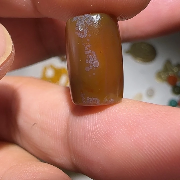 藏区老唐馆子保老