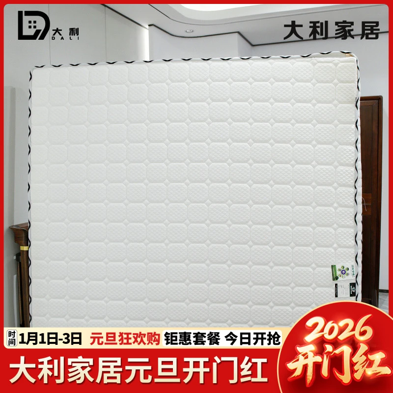 （大利家具）床垫3E棕丝天然椰棕厚10公分家用两用床垫（新款）