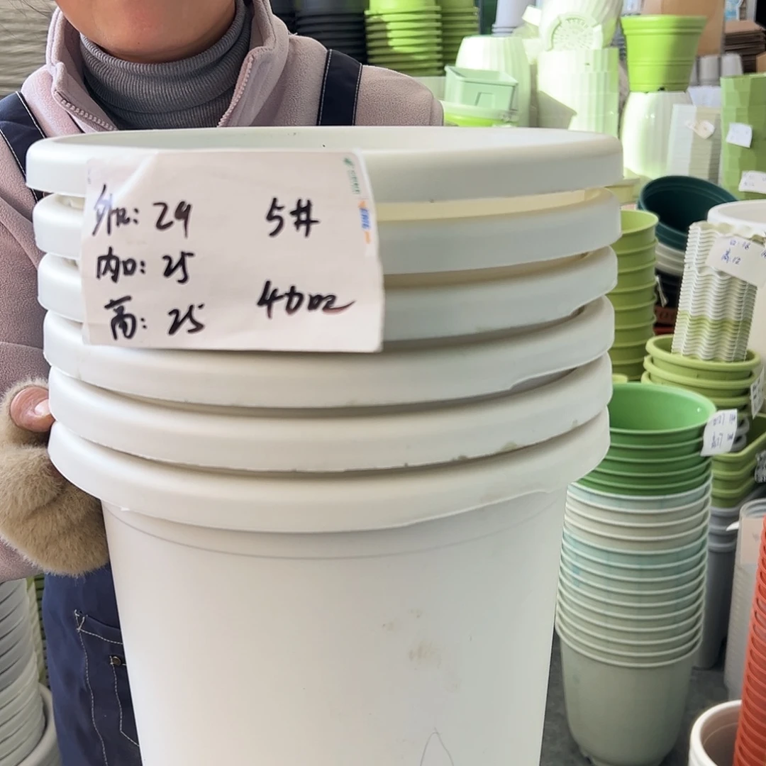 瑕疵四季盆5#白色6个无托