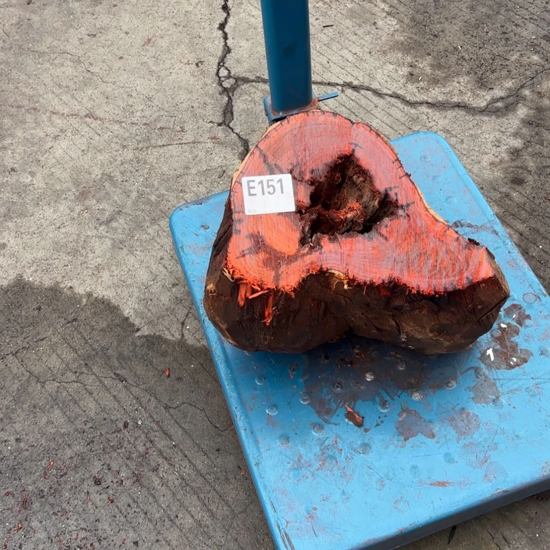 天***巴一物一拍血檀编码151