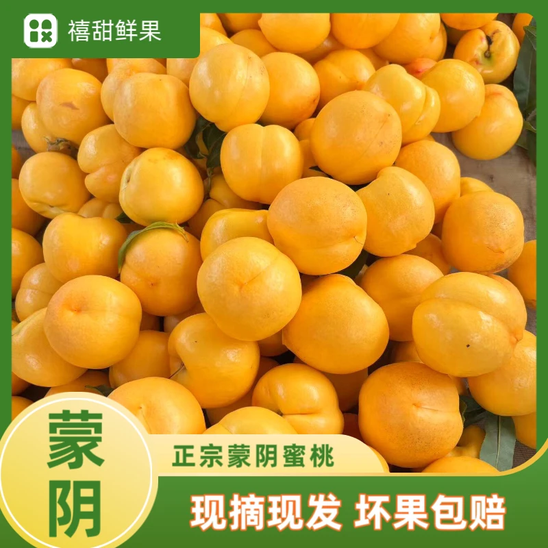 山东蒙阴黄金油桃蒙阴蜜桃芒果蜂蜜油桃应季水果原产地新鲜采摘