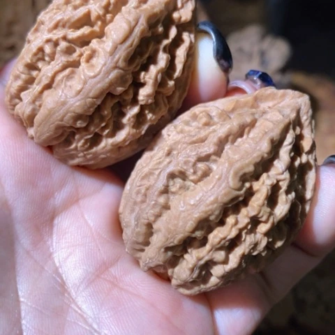 把件文玩核桃东北野生楸子小美11