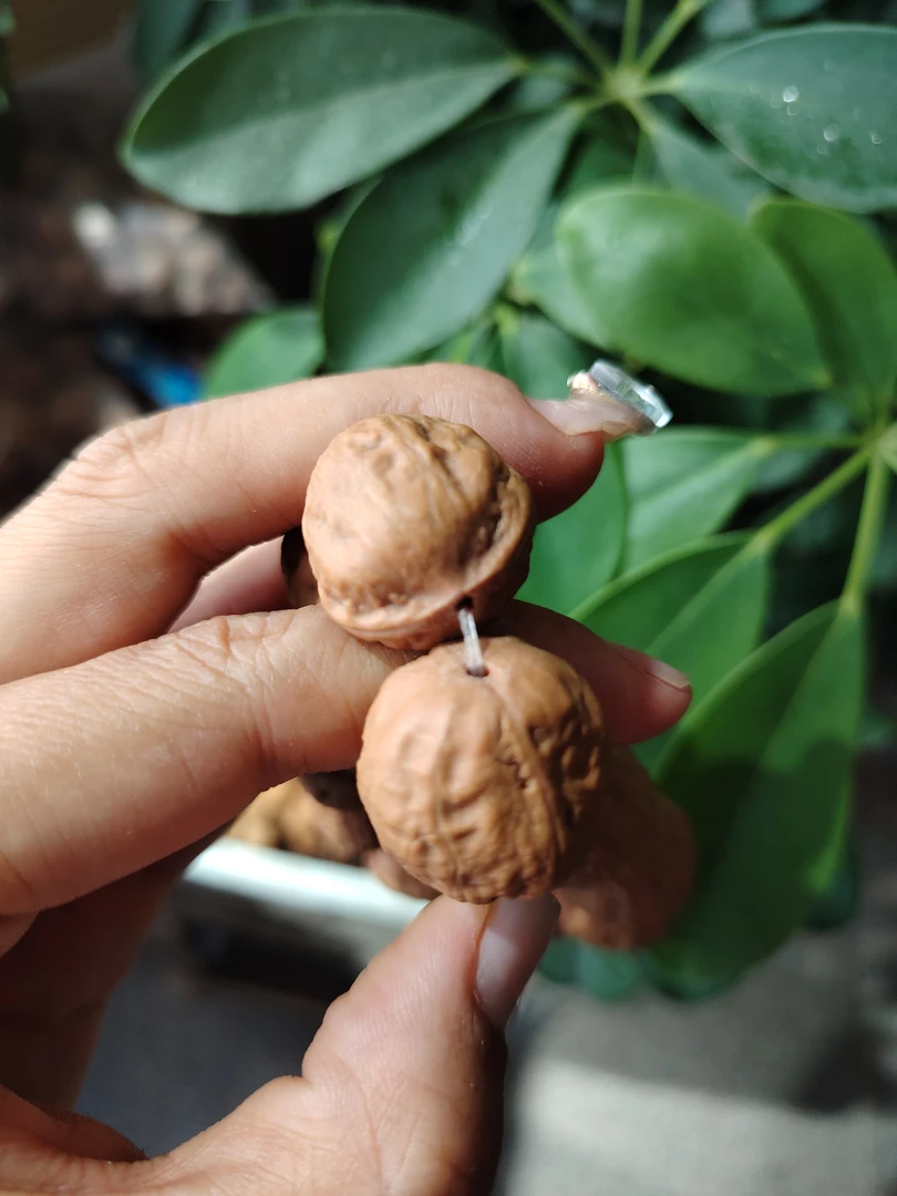 野生小秋子手串水晶皮手串奶油皮手串小光头手串