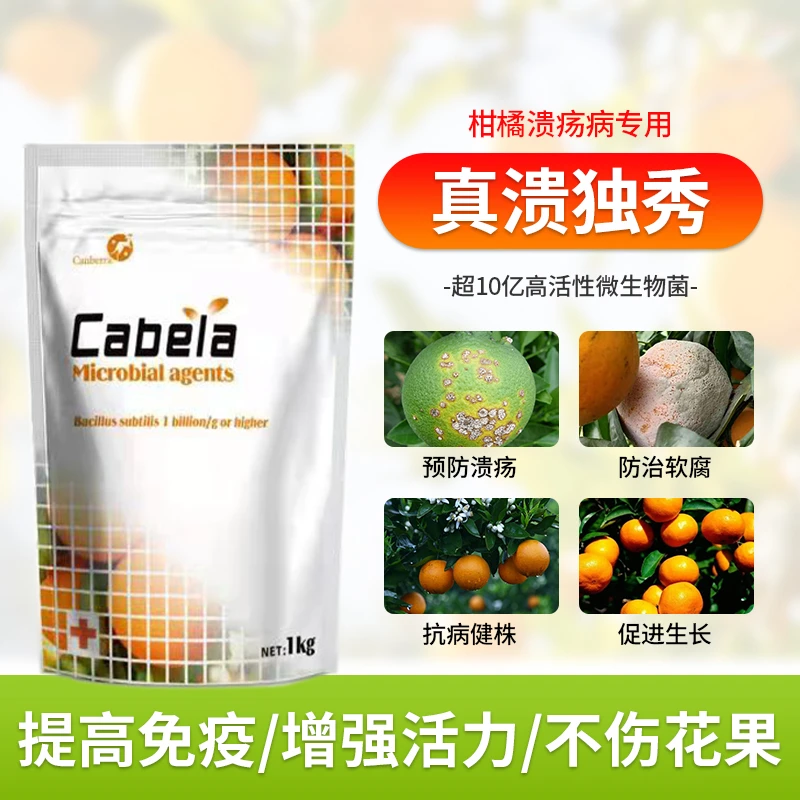 真溃独秀微生物菌剂 防治柑橘脐橙溃疡病 桃树流胶病专用药