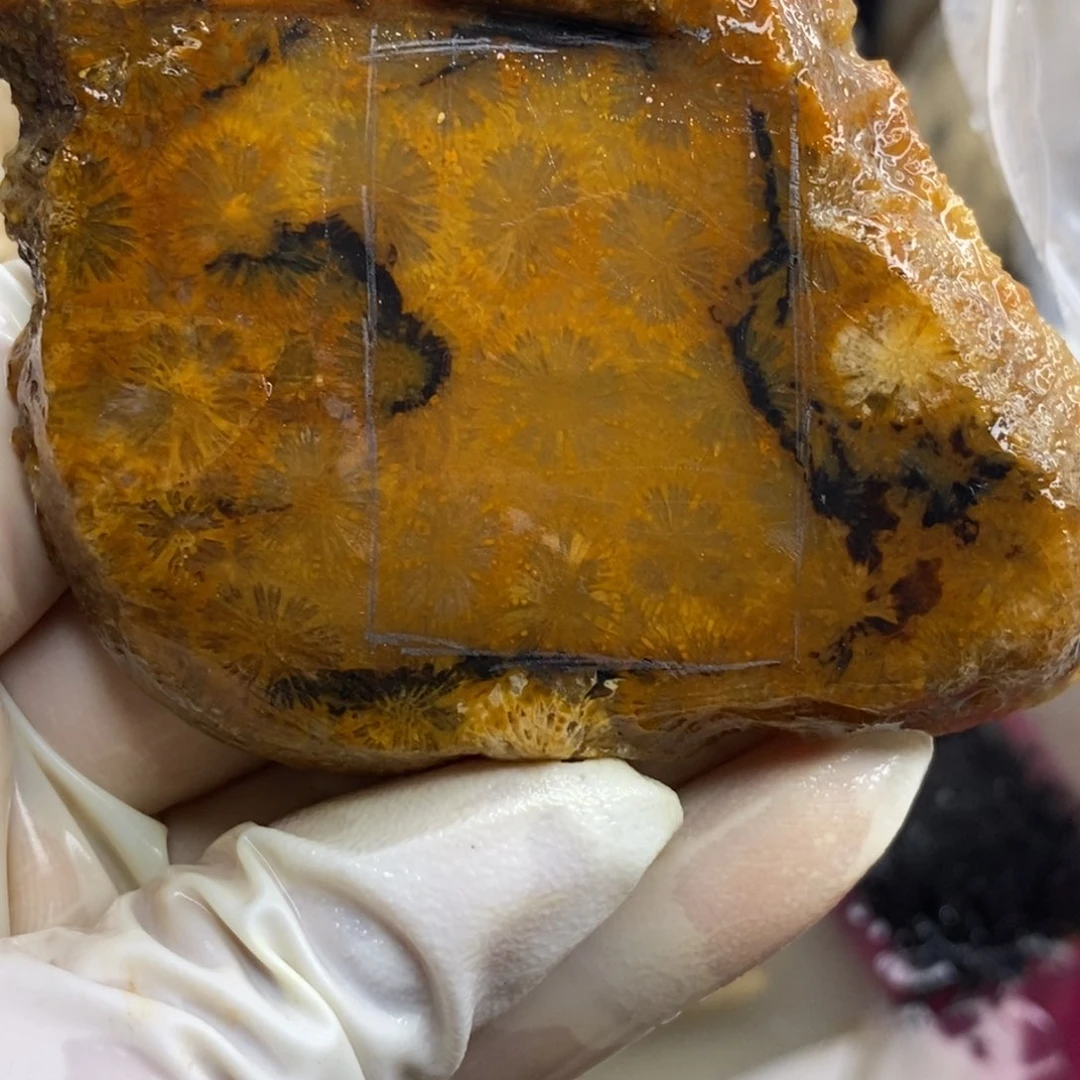 【闪购商品】硅化玉颈饰未镶嵌