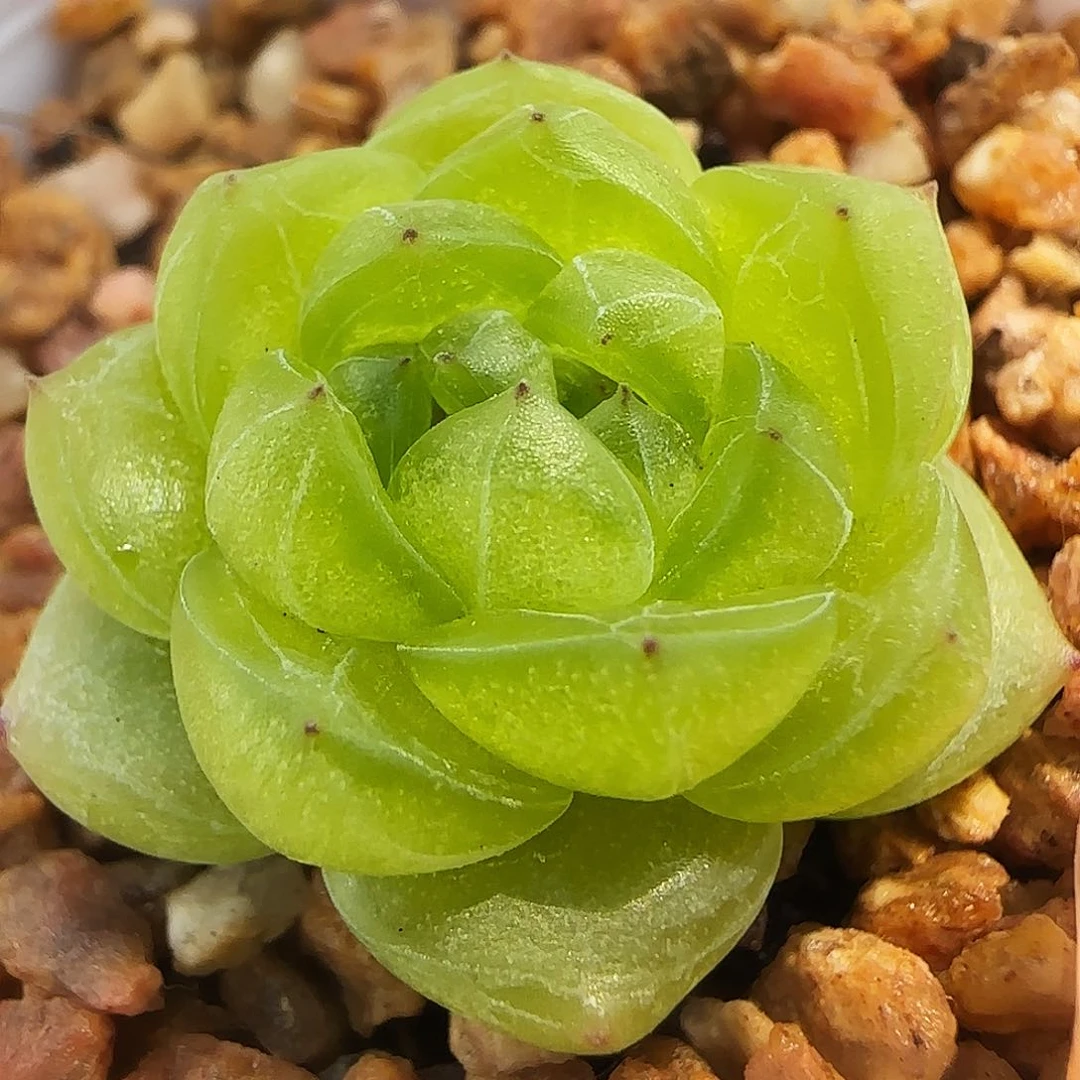 315号哈哈哈哈哈哈