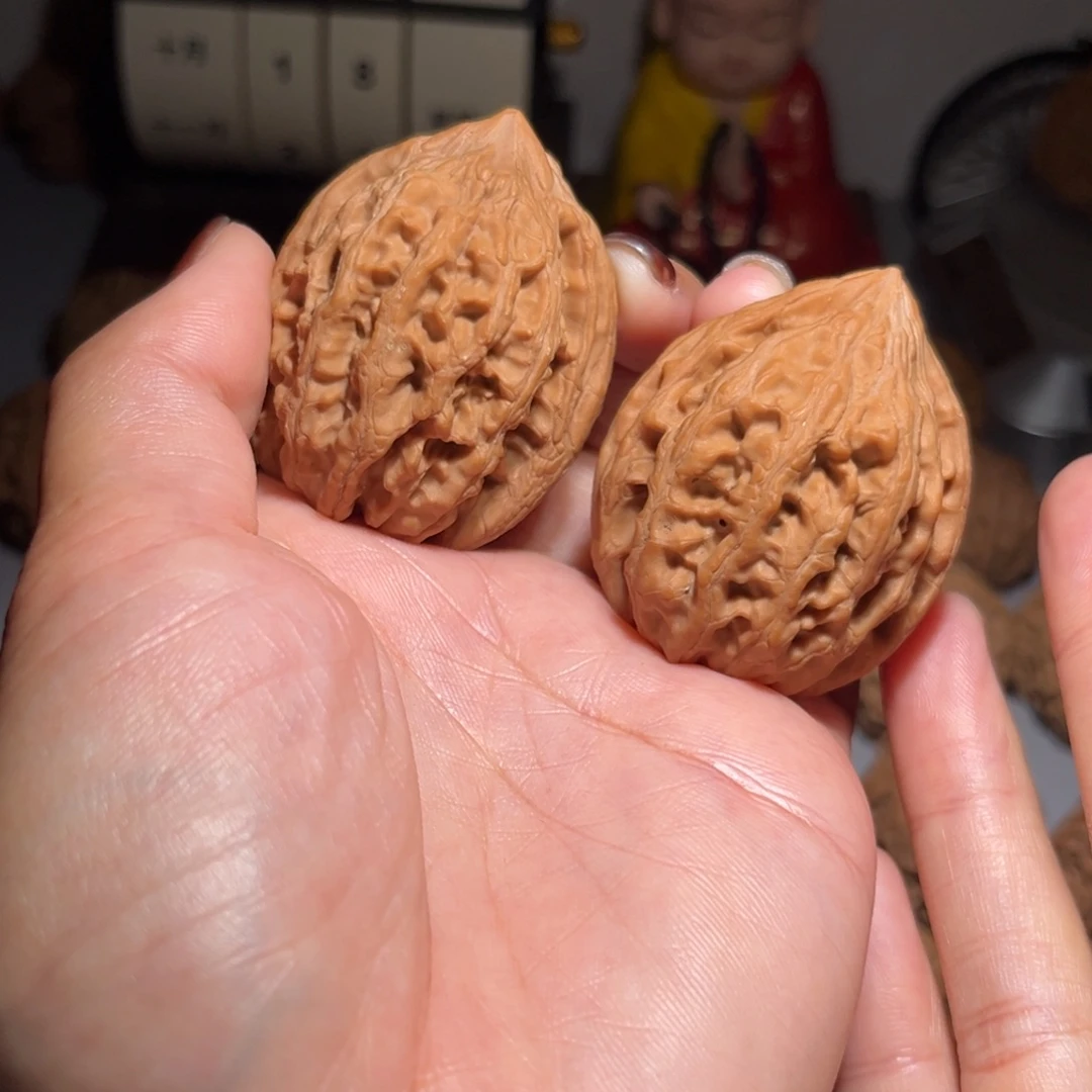 东***播木质类大沽石40全品