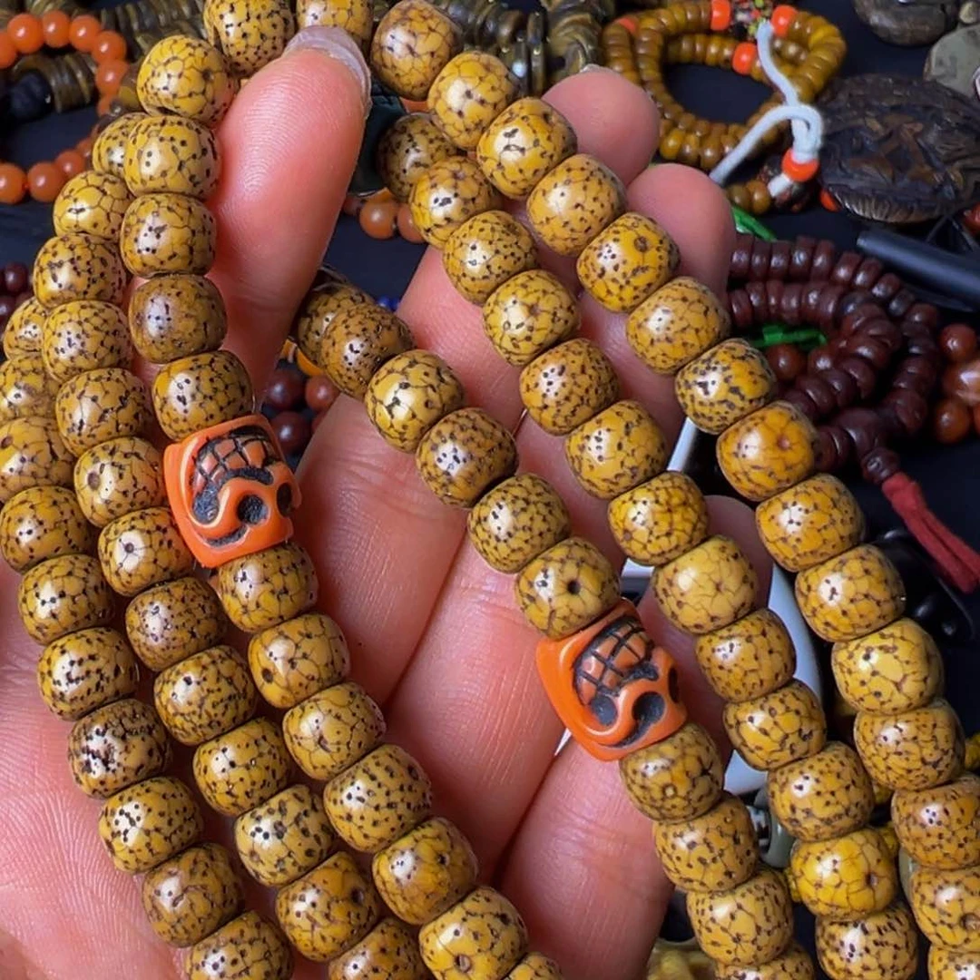 大果紫檀（缅甸花梨）大*