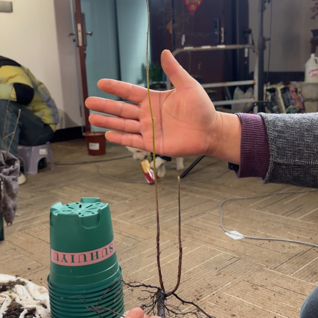 阳***光哈哈哈哈哈哈1907日货