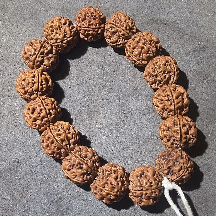 21尺寸原皮原色原生态大金刚菩提手串