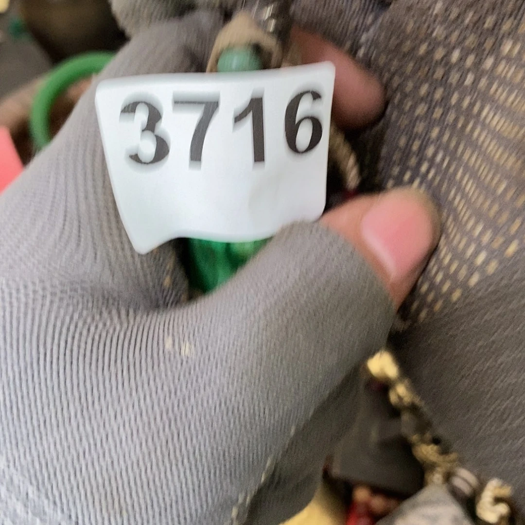 刘***刘光明的未来是一个3716