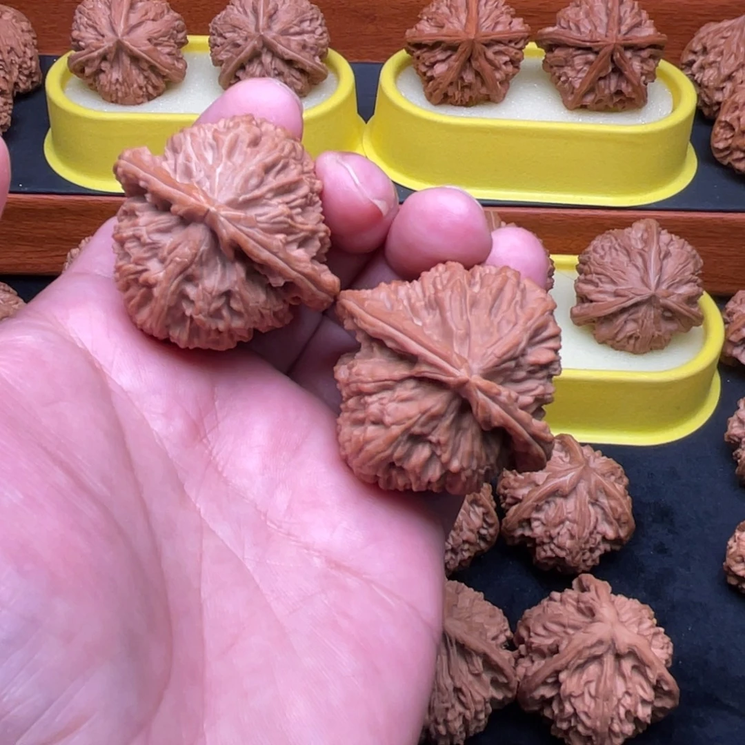 核桃手串/手链三角白狮子44尺