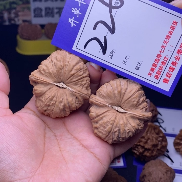 文玩核桃吊坠226号链接南瓜4.6尺全品