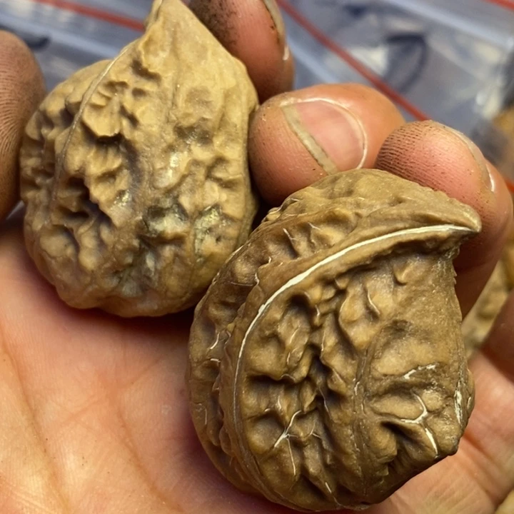 文玩核桃吊坠拿姐工艺143