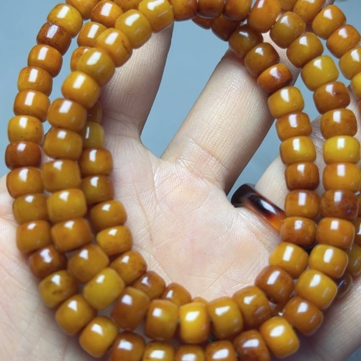 大果紫檀（缅甸花梨）