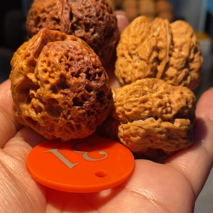 脚***印太湖石41尺寸，50米，至尊龙脊39尺寸，50米