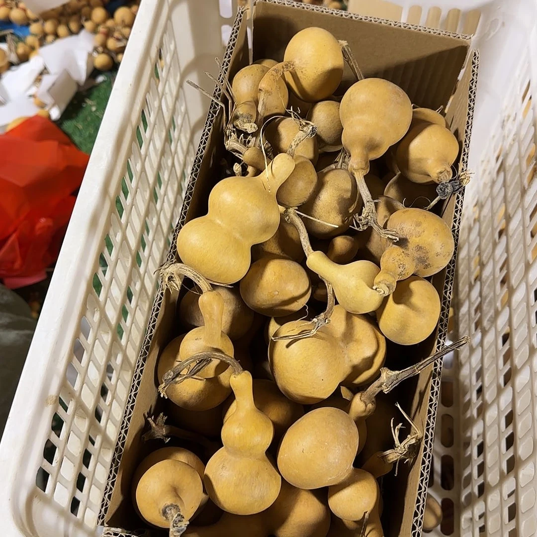 伟***艺葫芦葫芦处理葫芦葫芦葫芦葫芦