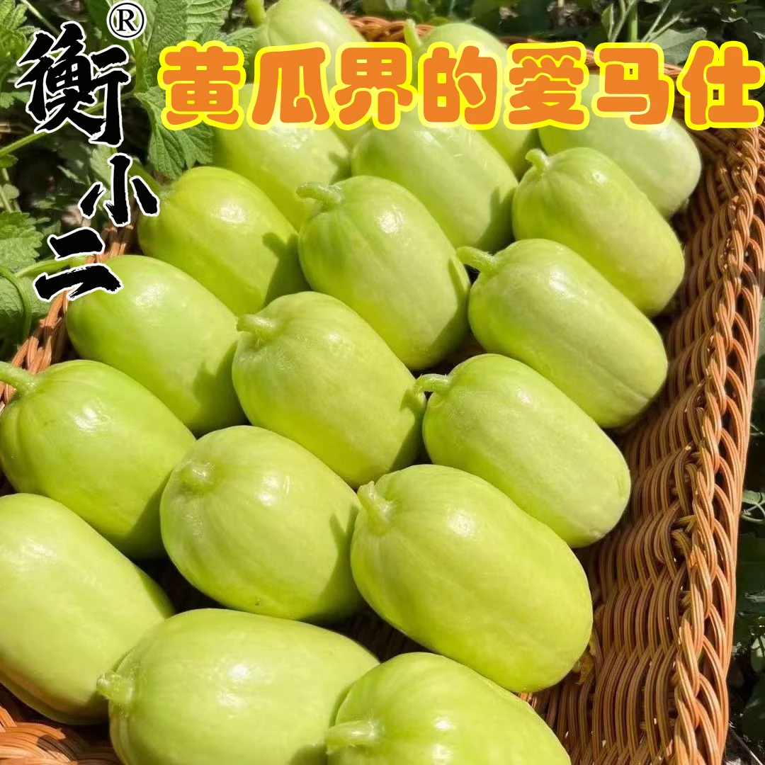 【现摘现发】山东玉女小黄瓜拇指黄瓜农家种植金童玉女瓜1/5斤装