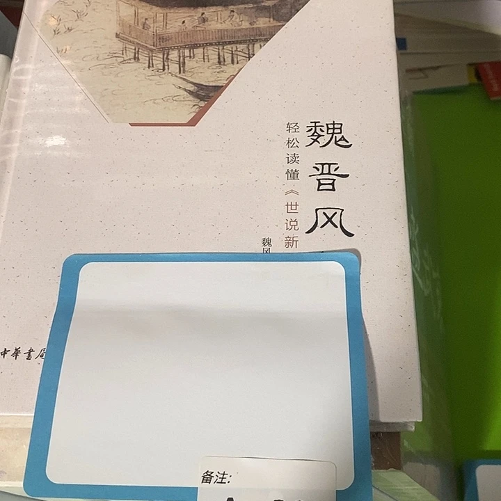 魏晋风华中华书局